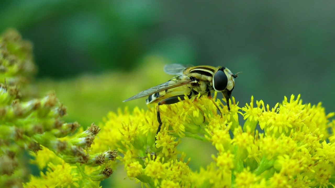Suffolk Virginia historic downtown